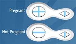Clearblue 4 Days Early Pregnancy Test Twin Pack: .co.uk: Health 