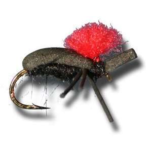  Foam Beetle Fly Fishing Fly