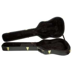   AEB50C Hardshell Case for AEB10 Acoustic Bass: Musical Instruments