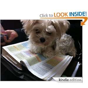 BIBLE VERSES TO CONSIDER BEFORE BAPTISM Terrence Lee, TLC BOOKS 