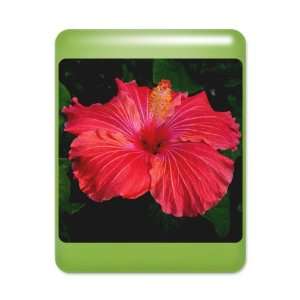  iPad Case Key Lime Red Hibiscus Bloom 