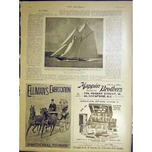  Cowes Royal Yacht Race Old Print 1898
