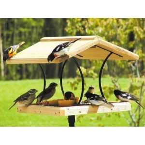  Wrought Iron & Cedar Fly Thru Feeder: Patio, Lawn & Garden