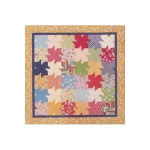 Popsicles Posies Quilt 