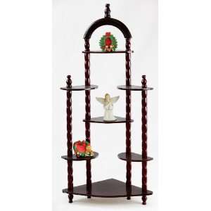  5 Tier Corner Wall Shelf