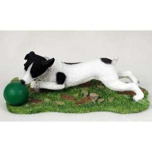  Jack Russell Terrier Black & White w/Smooth Coat w/Ball My 