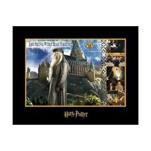   Wizards of Harry Potter Collection: Albus Dumbledore: Everything Else