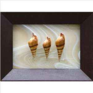  Phoenix Galleries HS10 Three Tibia Curta Shadow Box 