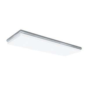   Fluorescent CN232R8 Decorative Cloud 2 Light Flush Mount in Nickel