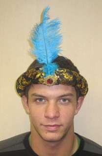 Desert Prince Headband  Brocade look Headband with Jewel and Plume 