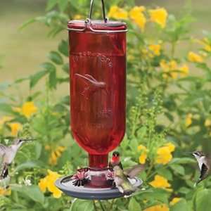  Red Bottle Hummingbird Feeder: Patio, Lawn & Garden