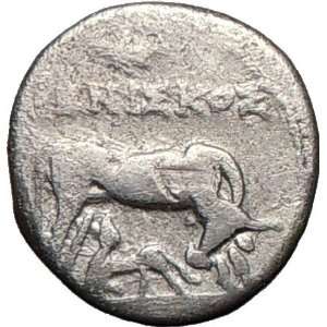 Dyrrhachium (Epidamnos) in Illyria 229BC Cow Authentic Ancient Silver 