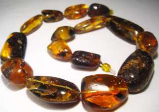 Genuine Baltic Amber Necklace With Fossil Insect . 123gr  