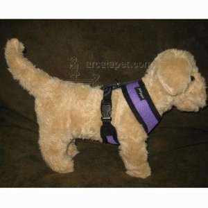  Comfort Control Dog Harness Purple XLarge: Pet Supplies