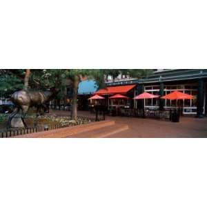  Elk Statue in Front of a Restaurant, Boulder, Colorado 