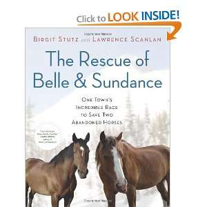  Belle and Sundance One Towns Incredible Race to Save Two Abandoned 