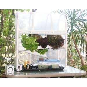  Hydroponic Mini Greenhouse System 