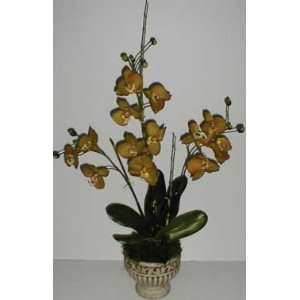  36 Triple Phaleonopsis Orchid in Old World Stone