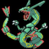 POKEMON RAYQUAZA 2009 FALL TIN POKEMON RULES  