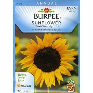  Burpee 33648 Sunflower Mini Sun Hybrid Seed Packet Patio 