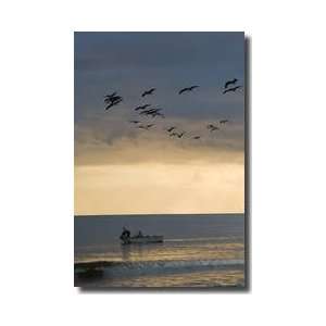 Fishermen Caswell Beach North Carolina United States Of America Giclee 