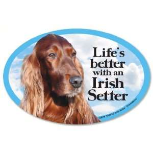  Irish Setter Oval Dog Magnet for Cars: Pet Supplies