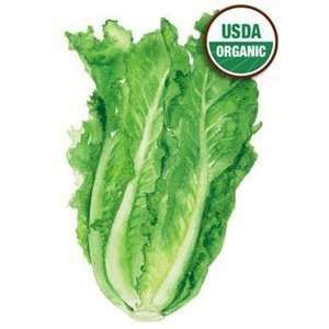   Romaine Parris Island Cos Certified Organic Heirloom Seeds 275 Seeds