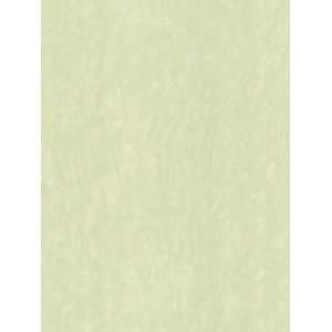  Wallpaper Brewster Whimsy II 740507: Home Improvement