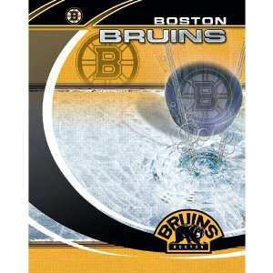  Boston Bruins NHL Portfolio