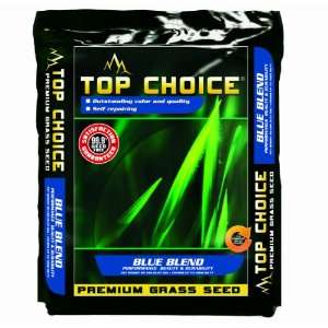 Mountain View Seed 17642 Top Choice Kentucky Blue/Perennial Ryegrass Grass Seed Mixture, 20 Pound