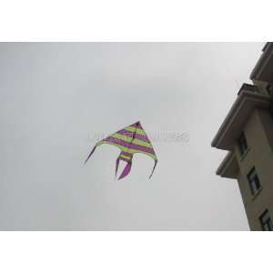  kites/flying kites/amused kites/weifang kites/childrens kites 