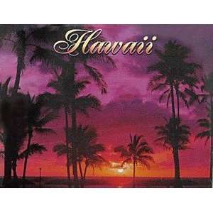  Hawaii Badge Magnet Ala Moana Sunset