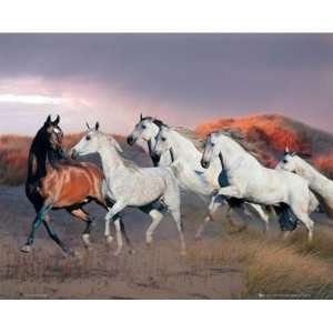  Bob Langrish Horses At Dusk Poster 16 X 20