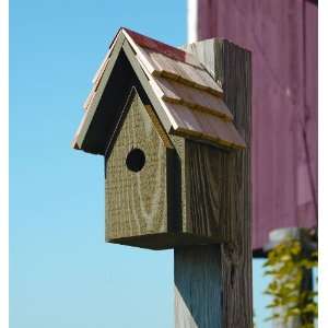  Bungalow Bird House in Pinion Green
