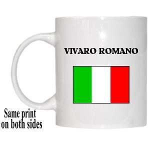  Italy   VIVARO ROMANO Mug: Everything Else