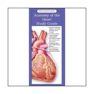  Illustrated Pocket Anatomy   Anatomy of the Heart 20 Pack 