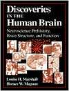 Discoveries in the Human Brain Neuroscience Prehistory, Brain 