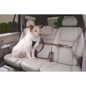  Kurgo Auto Zip Line Dog Car Harness