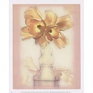   Tulip Finest LAMINATED Print Donna Geissler 9x11