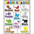 COLORS CHAMELEONS Color Poster Classroom Teacher Chart NEW items in 