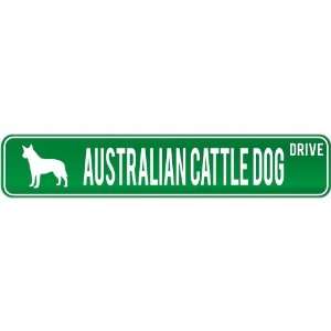    New  Australian Cattle Dog Drive  Street Sign Dog
