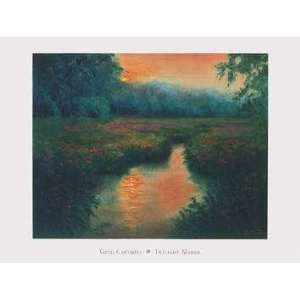  Twilight Marsh    Print