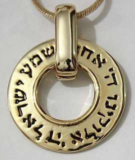   Israel Shield Gold Tone Rhodium Plated Amulet Pendant and Necklace