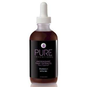 Pure Inventions Fruit Extracts   Blueberry with White Tea  