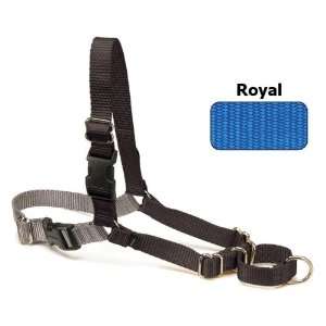  Easy Walk Dog Harness   Royal/Navy: Pet Supplies