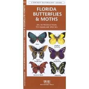   Guide   Florida Butterflies & Moths   70 Species 