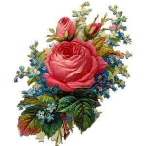    VICTORIAN DIE CUT FLOWERS 16 CROSS STITCH CHART: Home & Kitchen