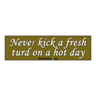 Never Kick A Fresh Turd On A Hot Day   Funny Bumper Stickers (Medium 
