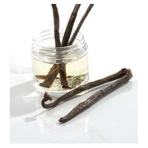   7oz Madagascar Vanilla Small Veriglass Candle by Root: Home & Kitchen
