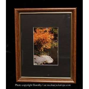 Time Out For Natures Beauty Framed Photograph by Dorothy Lee Central 